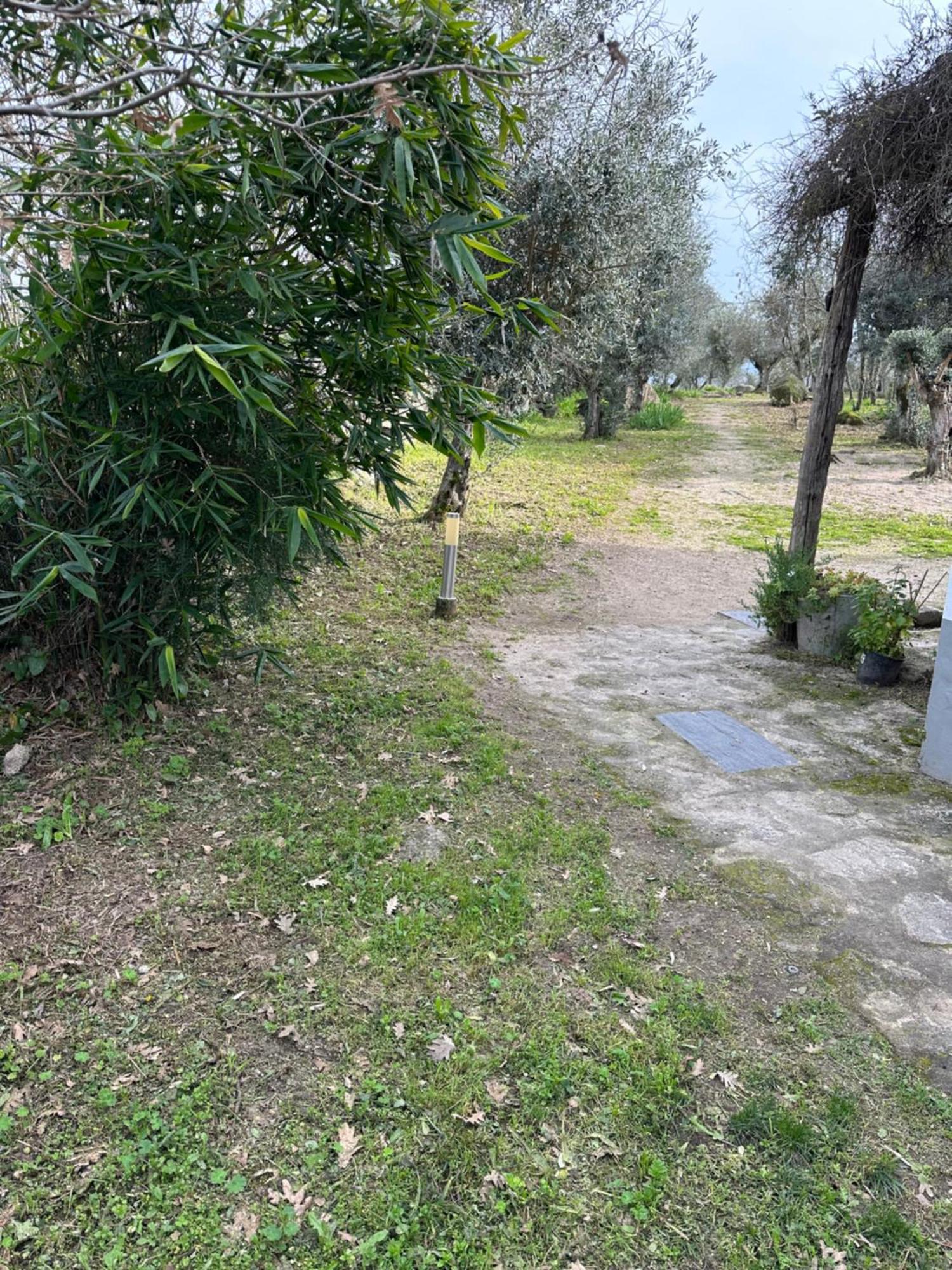 Monte Das Mariolas Castelo de Vide Dış mekan fotoğraf